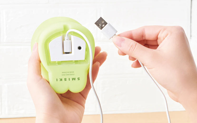 SMISKI Touch Light